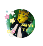 クリーンパンサー（個別スタンプ：17）
