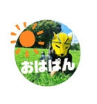 クリーンパンサー（個別スタンプ：30）