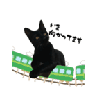 三兄弟ねこ part1（個別スタンプ：32）