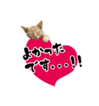 三兄弟ねこ part1（個別スタンプ：36）