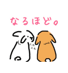 うさぎの汎用性2(日常会話ver.)（個別スタンプ：13）