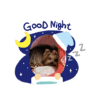 まろまろandここあ♡ˡºᵛᵉ（個別スタンプ：2）