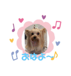 まろまろandここあ♡ˡºᵛᵉ（個別スタンプ：3）