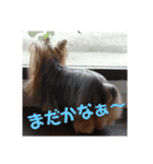 まろまろandここあ♡ˡºᵛᵉ（個別スタンプ：5）