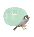 敬語カスタムスタンプ・鳥 水彩タッチ（個別スタンプ：32）