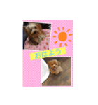 ❤️୨୧ご挨拶୨୧❤️スタンプ‪‪❤︎‬"（個別スタンプ：3）