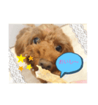 ❤️୨୧ご挨拶୨୧❤️スタンプ‪‪❤︎‬"（個別スタンプ：4）