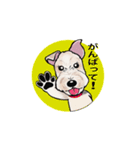 ワイヤーフォックス〜Miyabiな生活（個別スタンプ：1）