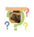 可愛い楓スタンプ（個別スタンプ：4）