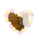 可愛い楓スタンプ（個別スタンプ：8）