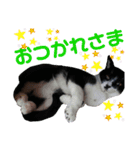 ニケ＆ハロ＆ミル（個別スタンプ：8）