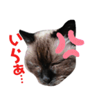 ニケ＆ハロ＆ミル（個別スタンプ：11）