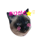 ニケ＆ハロ＆ミル（個別スタンプ：13）