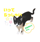 ニケ＆ハロ＆ミル（個別スタンプ：18）