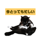 ニケ＆ハロ＆ミル（個別スタンプ：21）