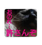 ニケ＆ハロ＆ミル（個別スタンプ：25）