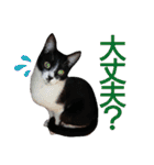 ニケ＆ハロ＆ミル（個別スタンプ：30）