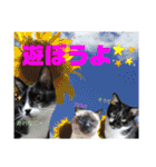 ニケ＆ハロ＆ミル（個別スタンプ：32）