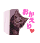 気まぐれニャンズのつぶやきスタンプpart2（個別スタンプ：3）