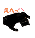 気まぐれニャンズのつぶやきスタンプpart2（個別スタンプ：26）