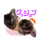気まぐれニャンズのつぶやきスタンプpart2（個別スタンプ：27）