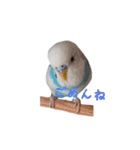 おしゃべりインコのパピコくん（個別スタンプ：2）