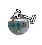 おしゃべりインコのパピコくん（個別スタンプ：12）