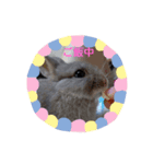 日常で使えるココスタ★★★（個別スタンプ：8）