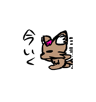 愛犬コロロ（個別スタンプ：11）