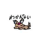 愛犬コロロ（個別スタンプ：15）