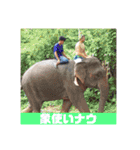 安井のための安井のスタンプ（個別スタンプ：8）