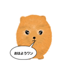 ポメラニアンくりちゃんの呟き（個別スタンプ：3）