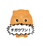 ポメラニアンくりちゃんの呟き（個別スタンプ：8）