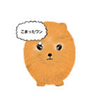 ポメラニアンくりちゃんの呟き（個別スタンプ：9）