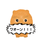 ポメラニアンくりちゃんの呟き（個別スタンプ：11）