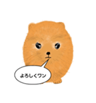 ポメラニアンくりちゃんの呟き（個別スタンプ：13）