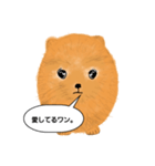 ポメラニアンくりちゃんの呟き（個別スタンプ：16）