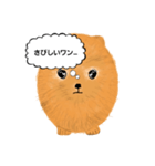 ポメラニアンくりちゃんの呟き（個別スタンプ：17）