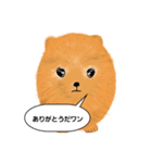 ポメラニアンくりちゃんの呟き（個別スタンプ：20）