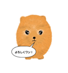 ポメラニアンくりちゃんの呟き（個別スタンプ：24）