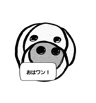 イッヌ！コタロウの呟き(白黒)（個別スタンプ：1）