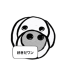 イッヌ！コタロウの呟き(白黒)（個別スタンプ：4）