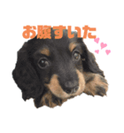 かわいい動物達❤️（個別スタンプ：2）