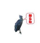 かわいい動物達❤️（個別スタンプ：6）