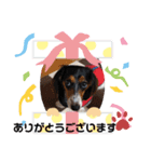 サナの日常会話2（個別スタンプ：1）