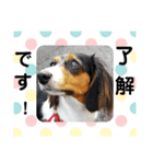 サナの日常会話2（個別スタンプ：7）