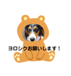 サナの日常会話2（個別スタンプ：8）