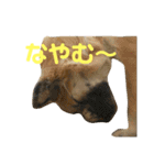 ムサシの⭐️む（個別スタンプ：16）