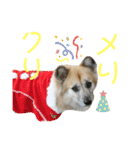 ムサシの⭐️む（個別スタンプ：18）