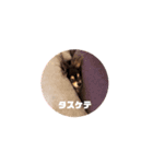 マロンレオエテ1（個別スタンプ：7）
